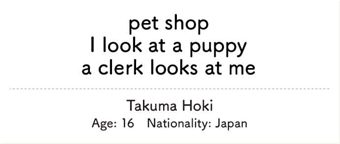 pet shop I look at a puppy a clerk looks at me