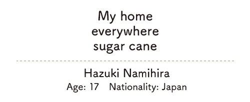 My home/everywhere/sugar cane