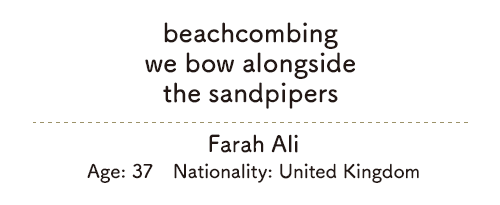 beachcombing/we bow alongside/the sandpipers