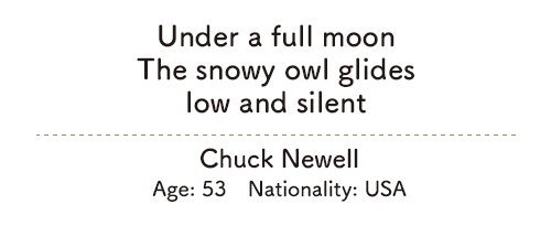 Under a full moon/The snowy owl glides/low and silent