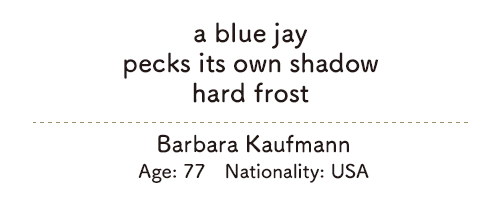 a blue jay/pecks its own shadow/hard frost