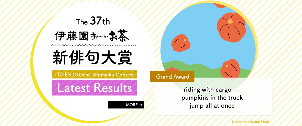 Grand Award / riding with cargo — pumpkins in the truck jump all at once